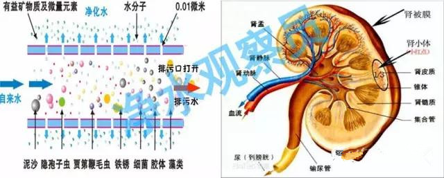 微信圖片_20190309085044_副本.jpg